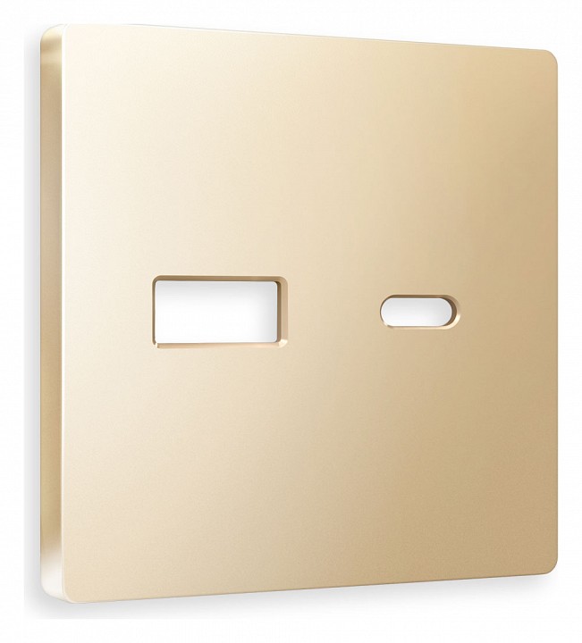 Накладка для розетки type a и c ambrella volt alfa ap6110