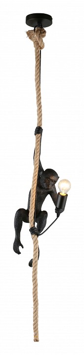 Подвесной светильник aployt magali apl.309.16.01