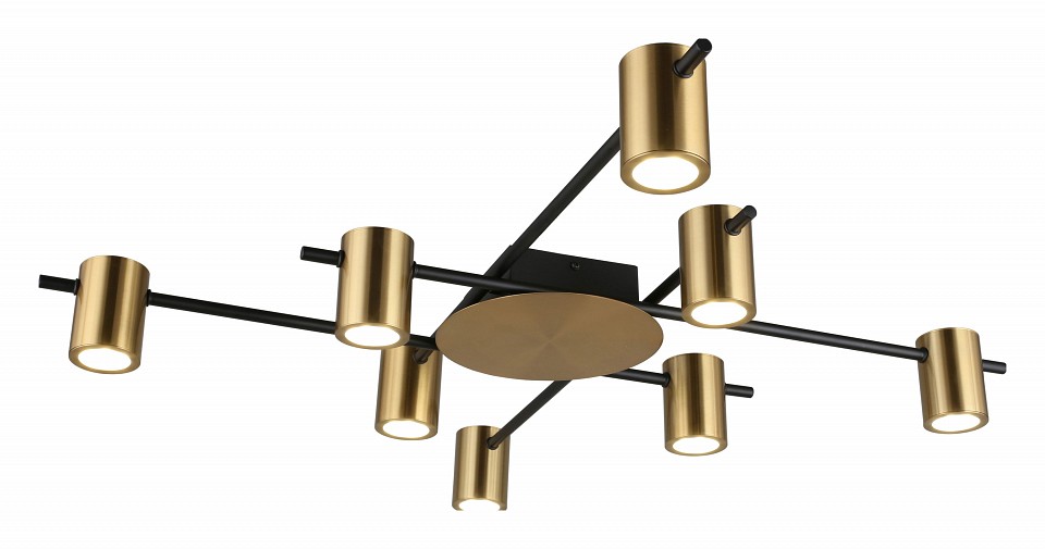 Потолочная люстра aployt elwisia apl.633.07.08