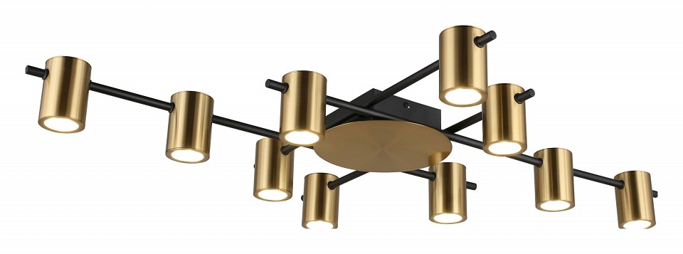 Потолочная люстра aployt elwisia apl.633.07.10