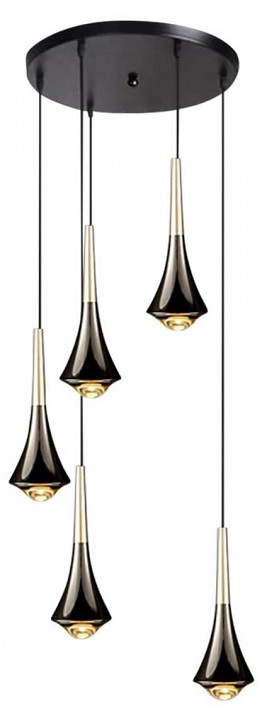 Подвесная люстра aployt agas apl.784.06.05