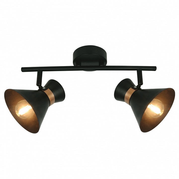 Спот arte lamp baltimore a1406ap-2bk
