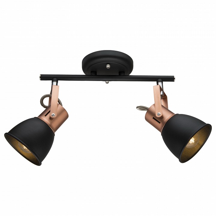 Спот arte lamp jovi a1677pl-2bk