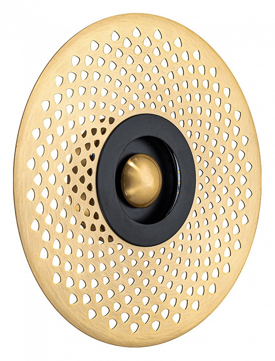 Накладной светильник arte lamp biscotto a2642ap-1go