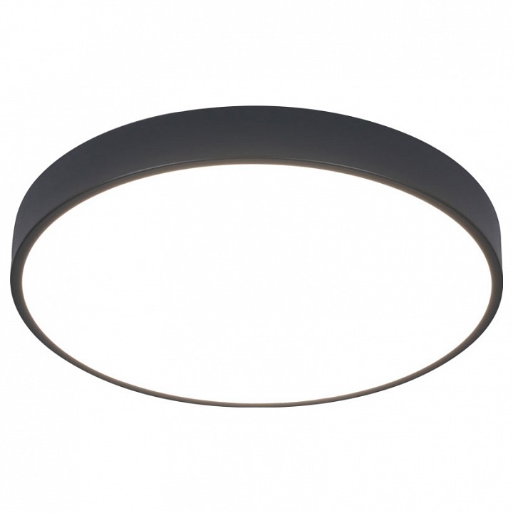 Накладной светильник arte lamp arena a2661pl-1bk