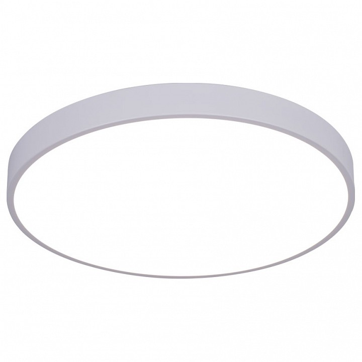 Накладной светильник arte lamp arena a2670pl-1wh