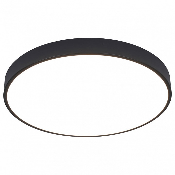 Накладной светильник arte lamp arena a2672pl-1bk