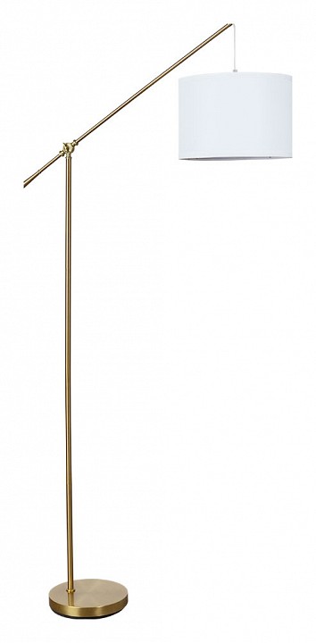 Торшер arte lamp dylan a4054pn-1pb