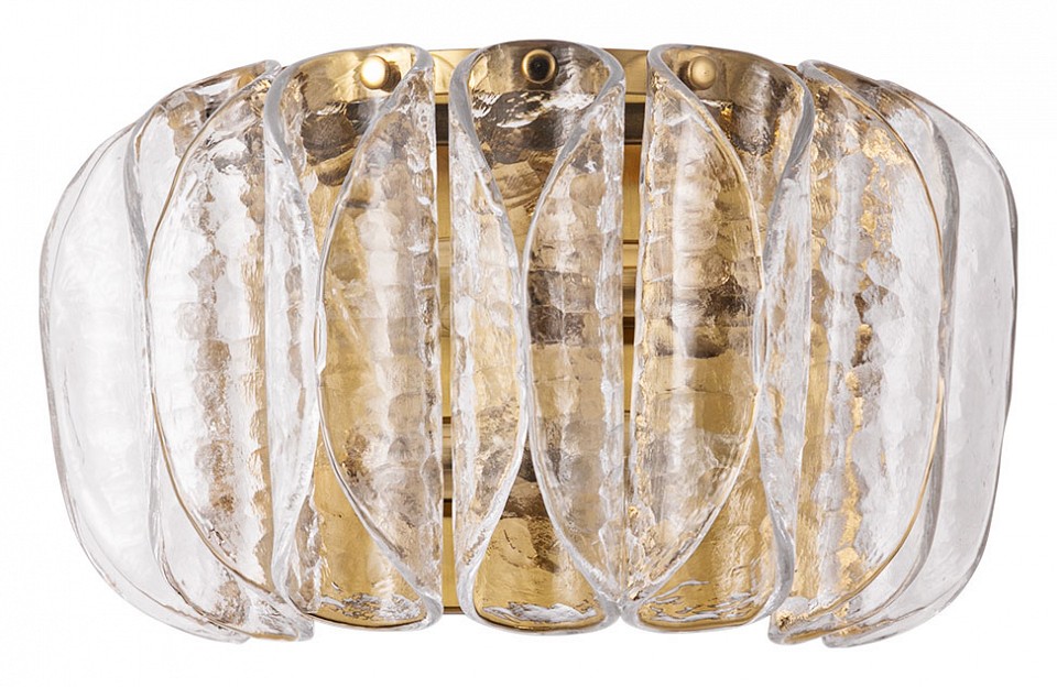 Накладной светильник arte lamp evelyn a4073ap-2pb