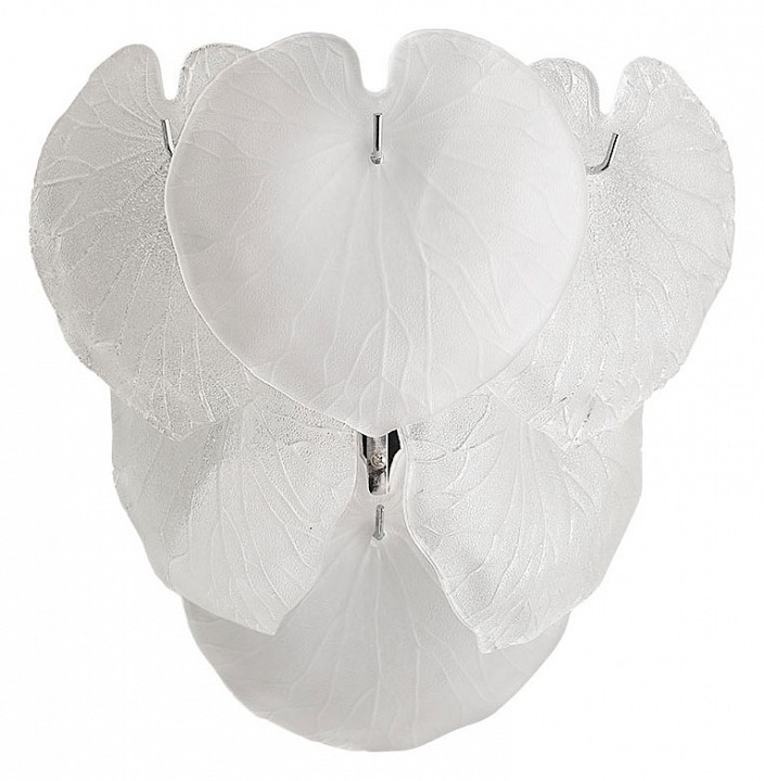 Накладной светильник arte lamp kapri a4078ap-2cc