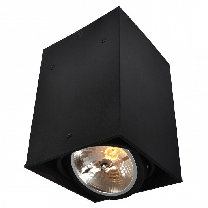 Накладной светильник arte lamp cardani a5936pl-1bk