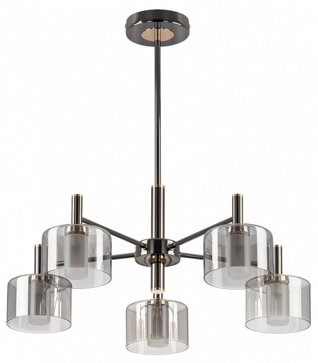 Люстра на штанге citilux elan cl241151