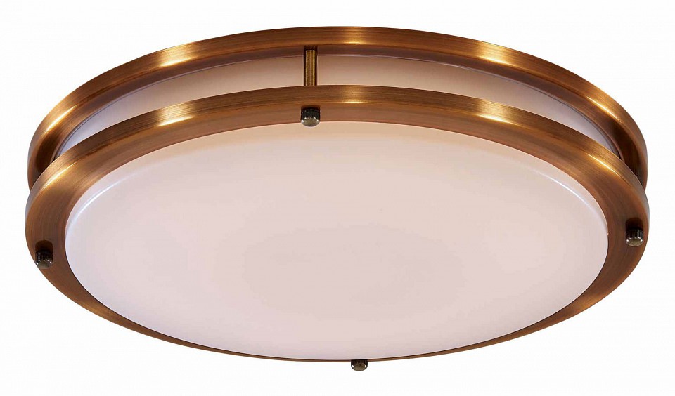 Накладной светильник citilux бостон cl709503n