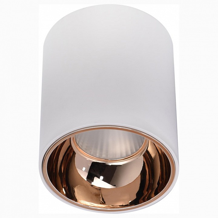 Накладной светильник citilux старк cl7440103