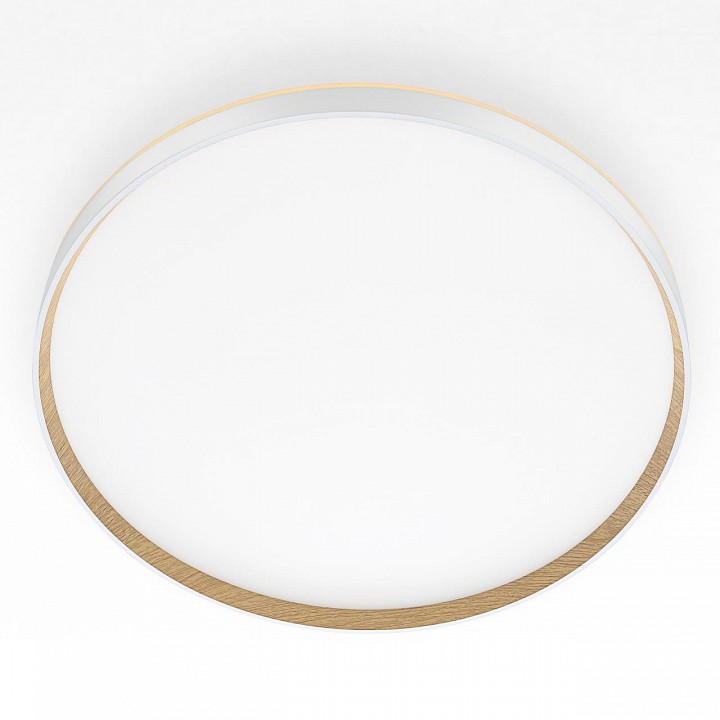 Накладной светильник citilux etalon cl750500r