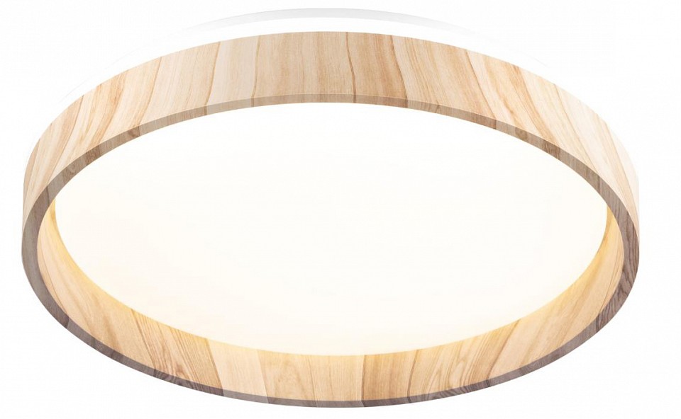 Накладной светильник citilux enzo cl753352g