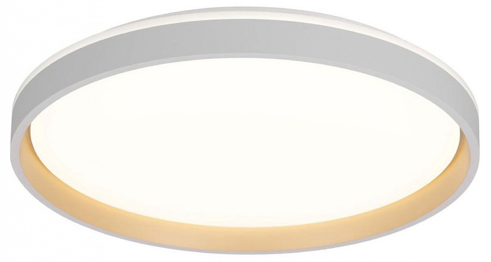 Накладной светильник citilux enzo cl753510g