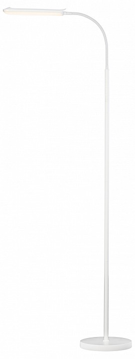 Торшер citilux alex cl804050