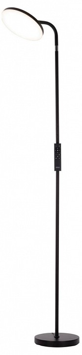 Торшер citilux solo cl804061