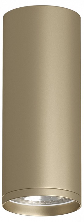 Накладной светильник denkirs tube dk2051-sg