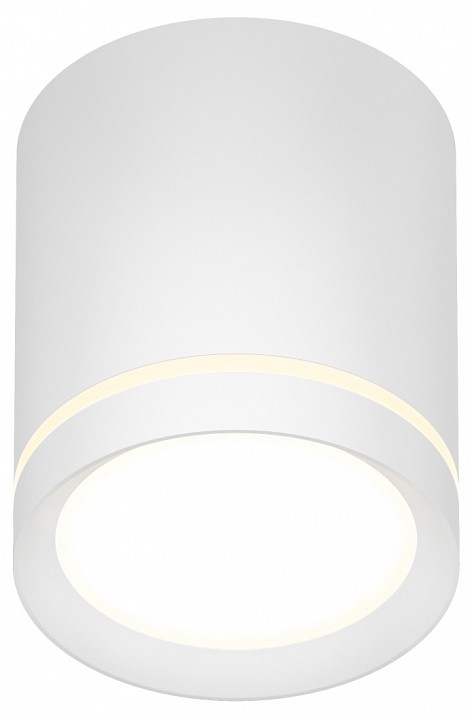 Накладной светильник denkirs dk401 dk4016-wh