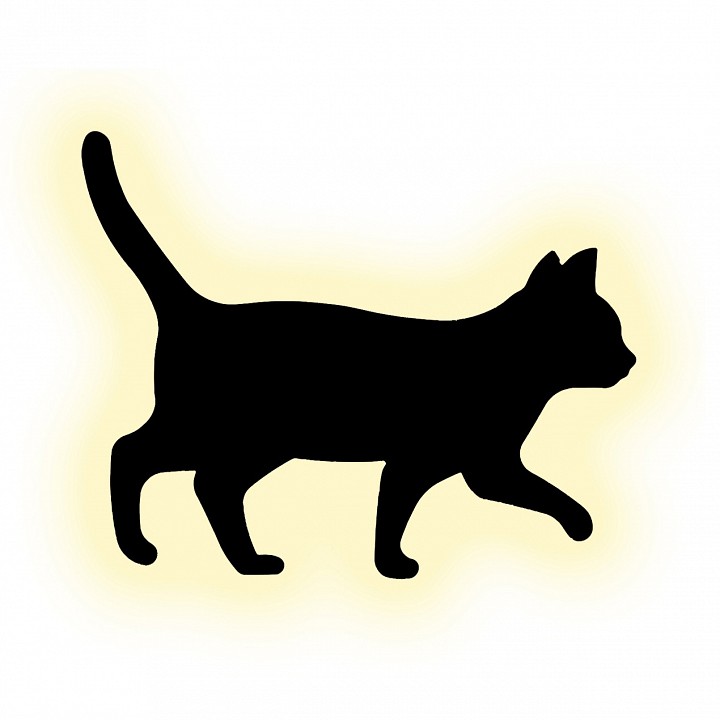 Накладной светильник escada  10209/sg led