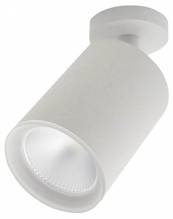 Спот escada 20020 20020sma/01led swh