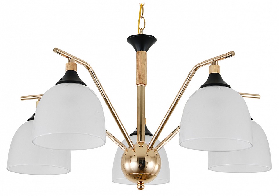 Подвесная люстра escada actinidia 2123/5p