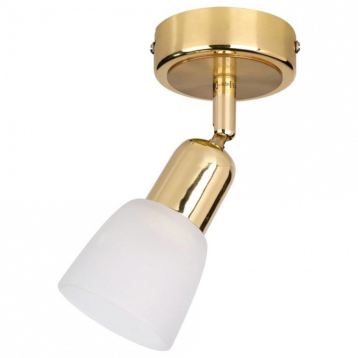 Спот escada fabius 5039/1pa