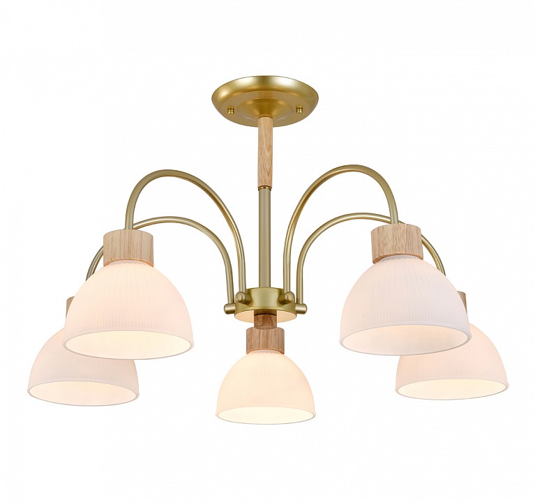 Люстра на штанге escada  es0000061