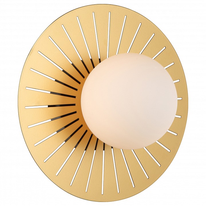 Бра favourite sonnenblume 2356-1w