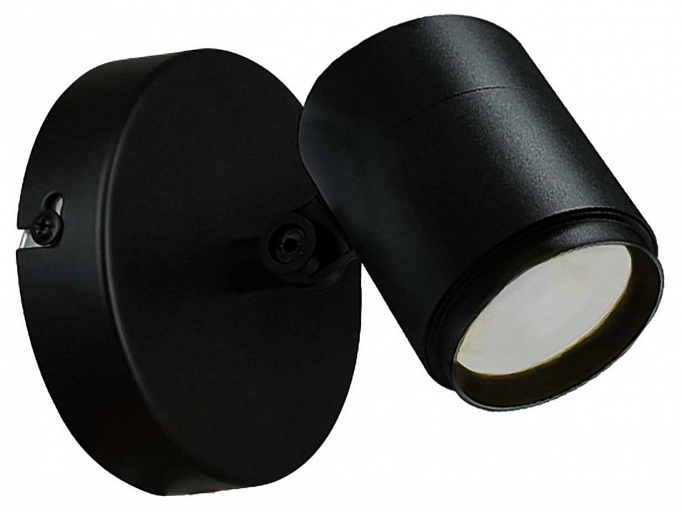 Светильник на штанге favourite securitas 4638-1w