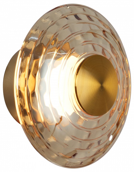 Накладной светильник favourite claros 4641-1w