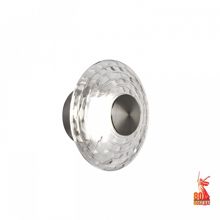 Накладной светильник favourite claros 4643-1w