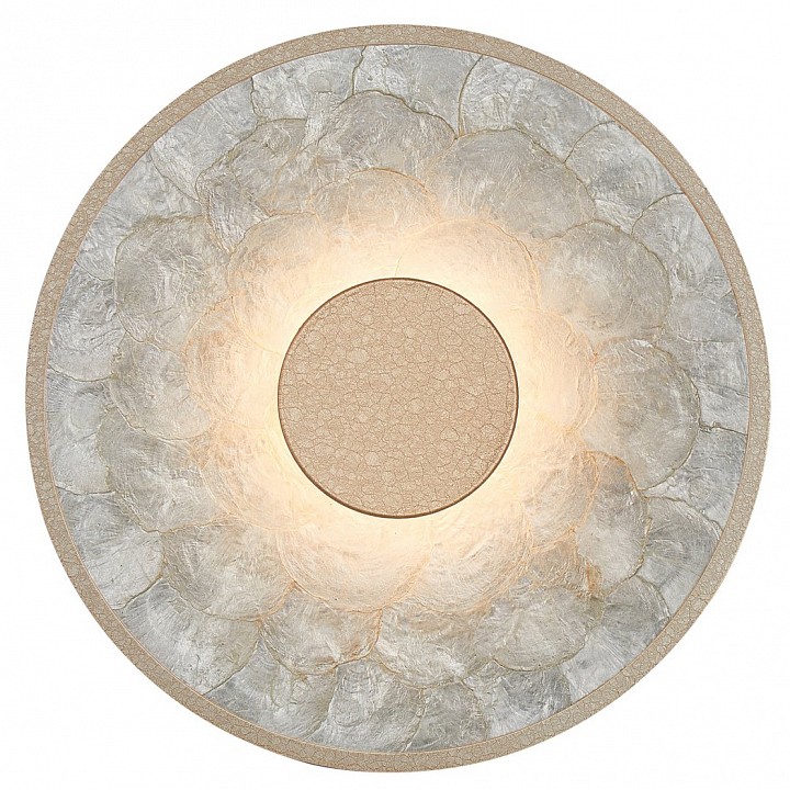 Накладной светильник favourite solarius 4858-1w