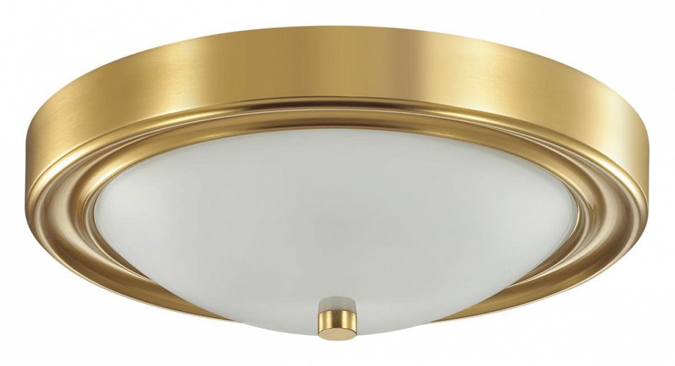 Накладной светильник lumion nina 5259/2c