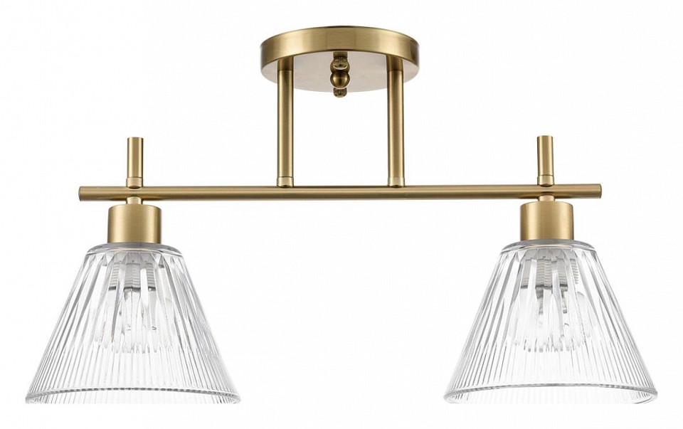 Светильник на штанге lumion vivian 8188/2c