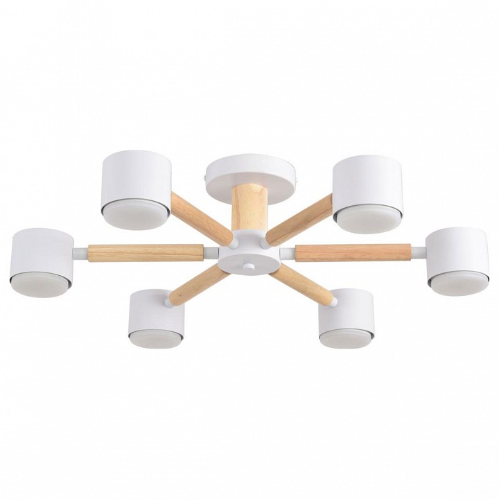 Люстра на штанге lumion vudi 8306/6c