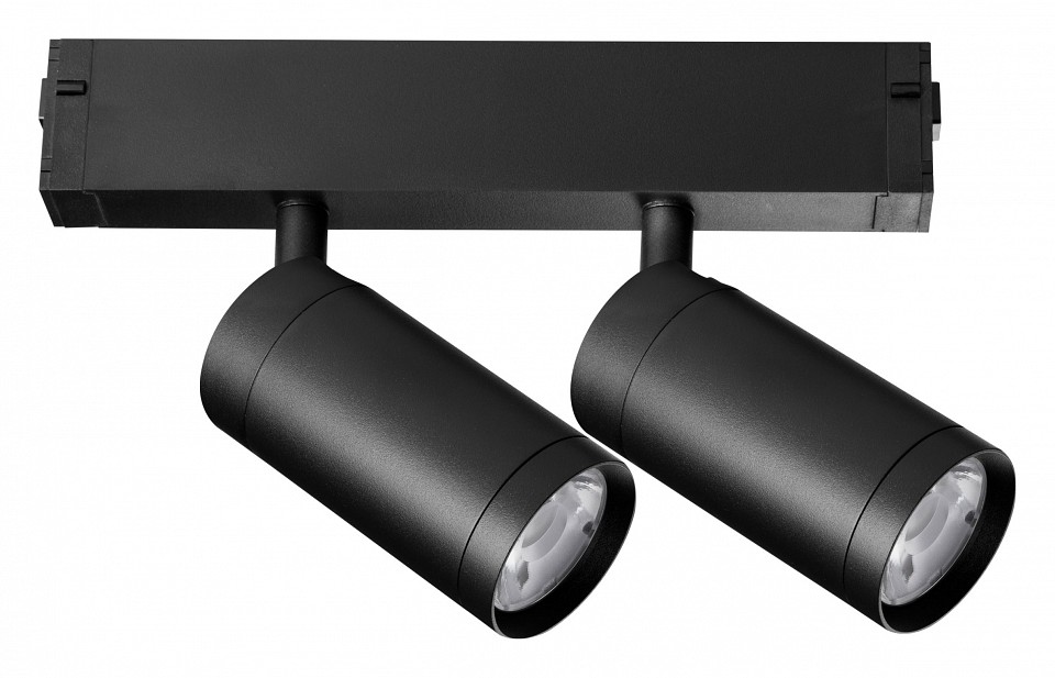 Светильник на штанге lightstar teta 205507