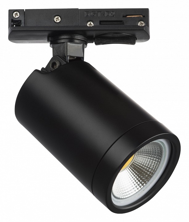 Светильник на штанге lightstar rullo 212937