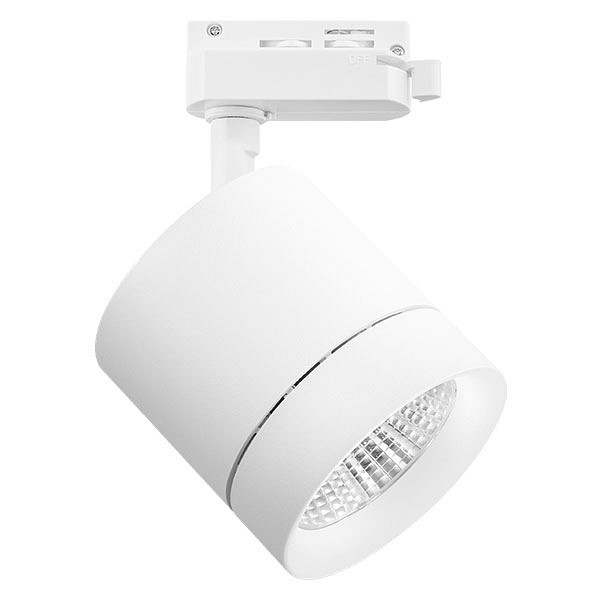 Светильник на штанге lightstar canno 301264