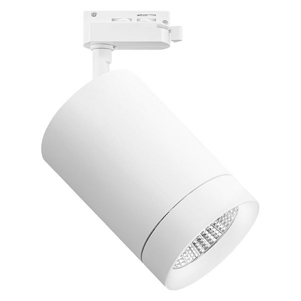 Светильник на штанге lightstar canno 303264