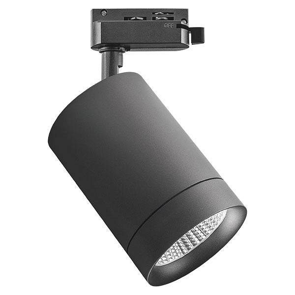 Светильник на штанге lightstar canno 303272