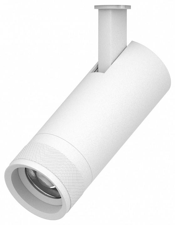 Светильник на штанге lightstar canno pro 304126