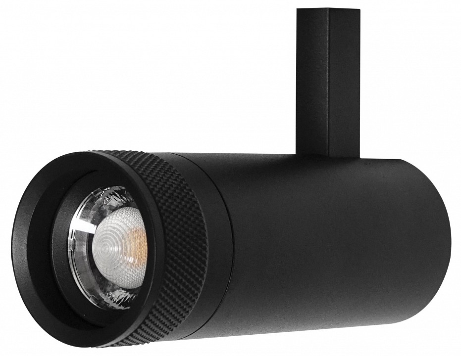 Светильник на штанге lightstar canno pro 304127