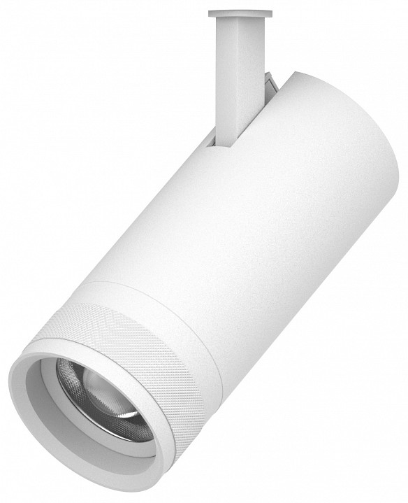 Светильник на штанге lightstar canno pro 304206