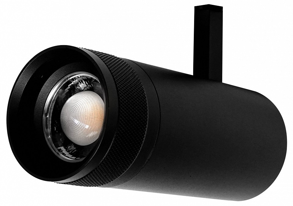 Светильник на штанге lightstar canno pro 304207