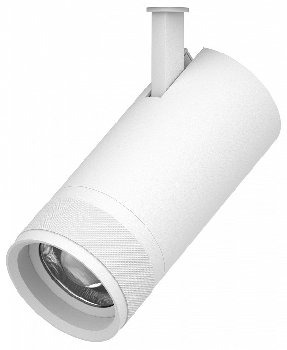 Светильник на штанге lightstar canno pro 304306