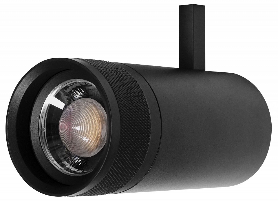 Светильник на штанге lightstar canno pro 304307