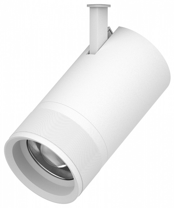 Светильник на штанге lightstar canno pro 304406